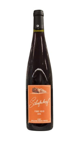 Schieferkopf Pinot Noir 2020