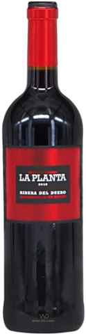 Arzuaga La Planta 2019